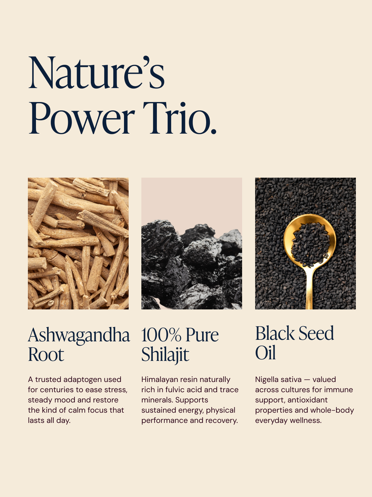 Black Seed, Shilajit & Ashwagandha Gummies