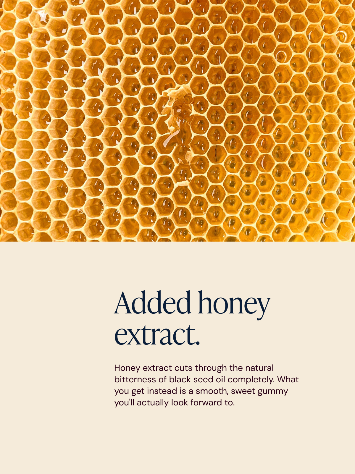 Black Seed Oil Gummies with Honey Extract