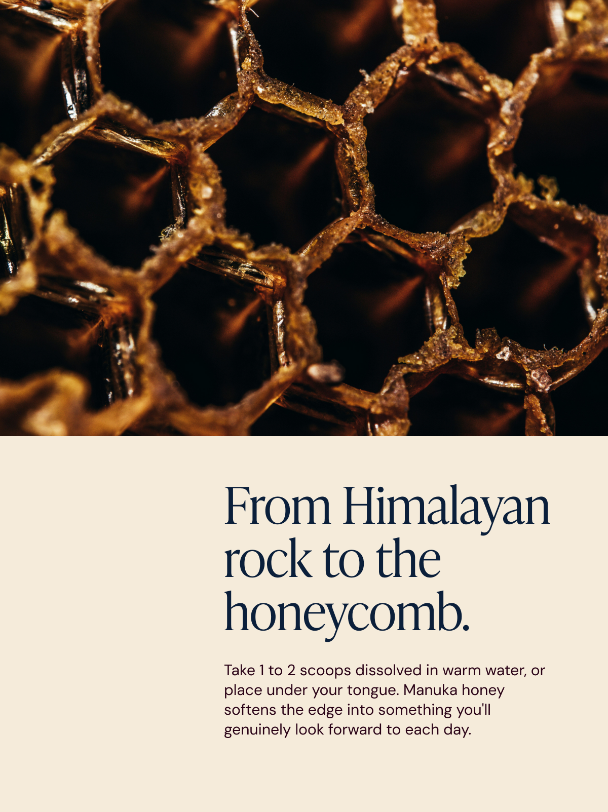 Shilajit & Manuka Honey Resin 50grams