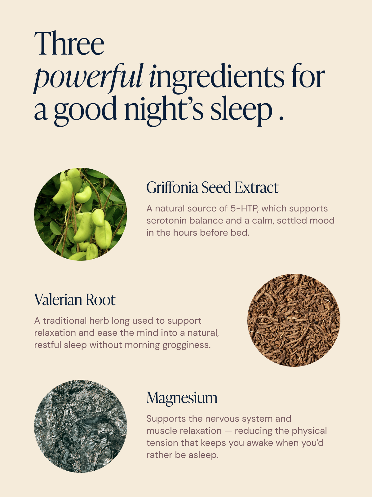 Sleep Night Time Gummies