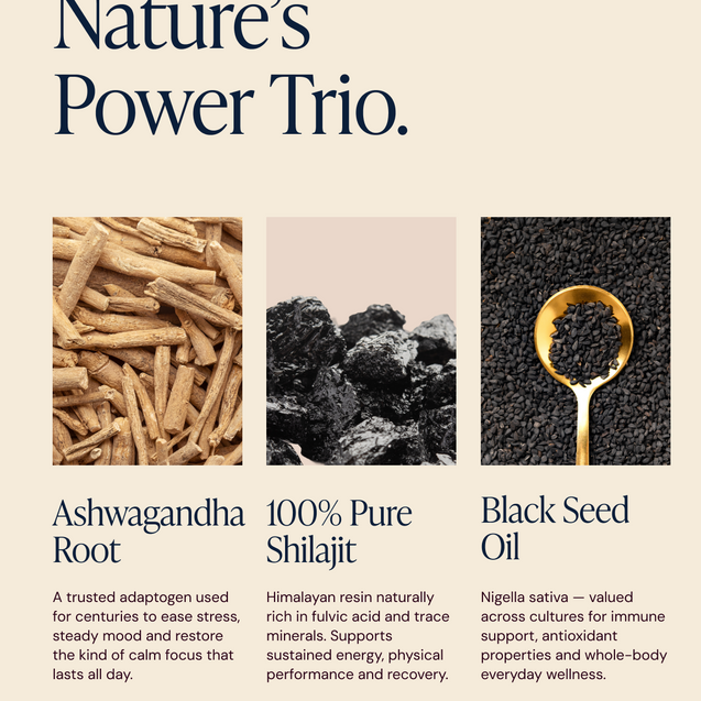 Black Seed, Shilajit & Ashwagandha Gummies