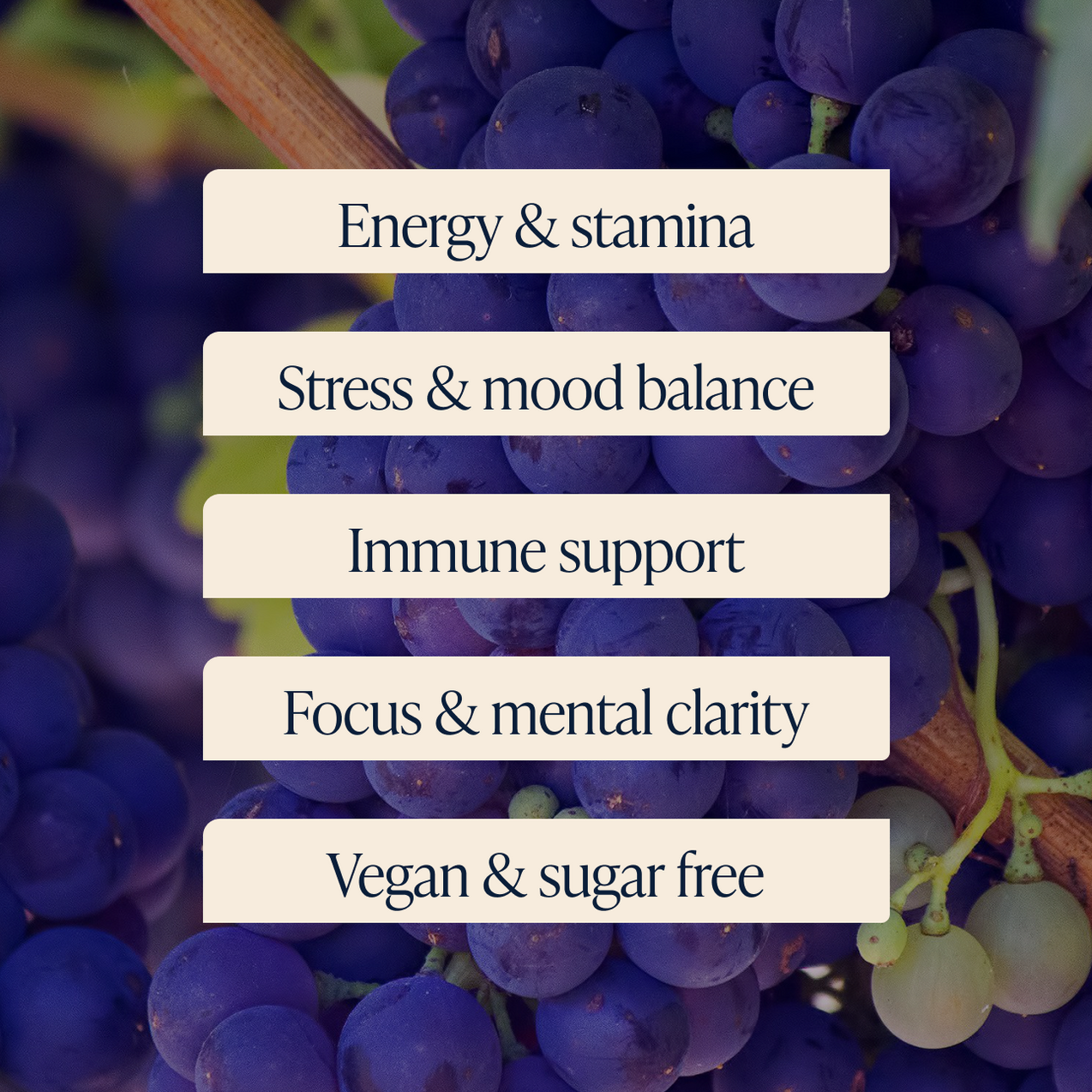 Black Seed, Shilajit & Ashwagandha Gummies