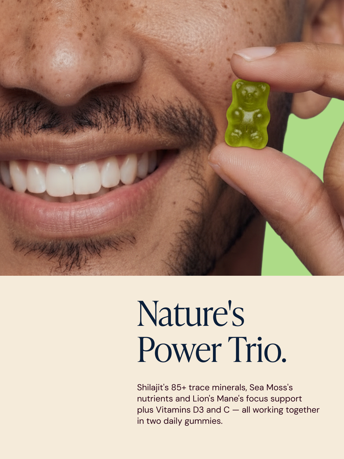 Shilajit, Sea Moss & Lions Mane Gummies