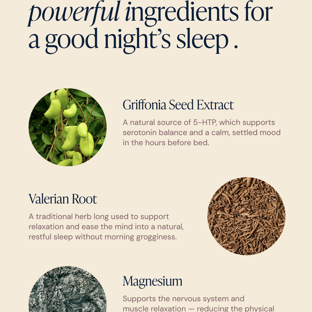 Sleep Night Time Gummies