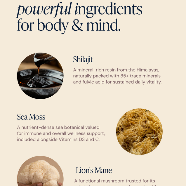 Shilajit, Sea Moss & Lions Mane Gummies