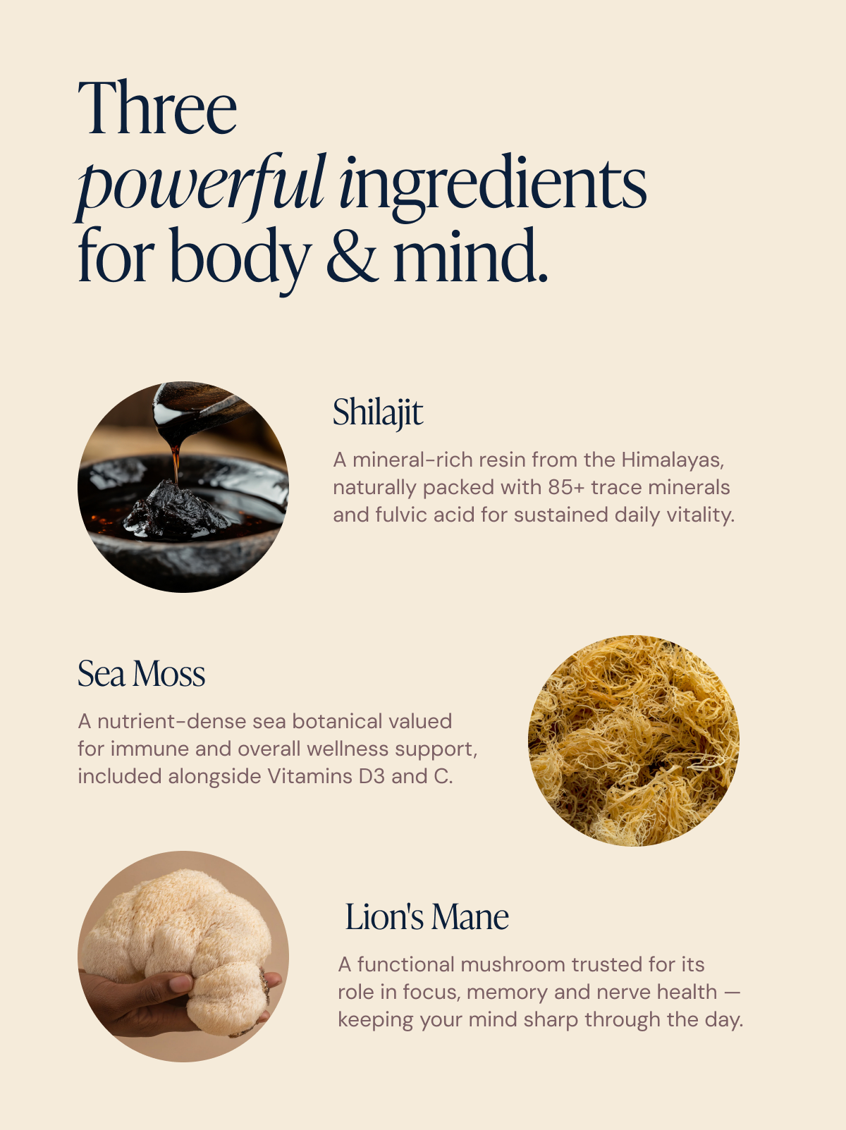 Shilajit, Sea Moss & Lions Mane Gummies