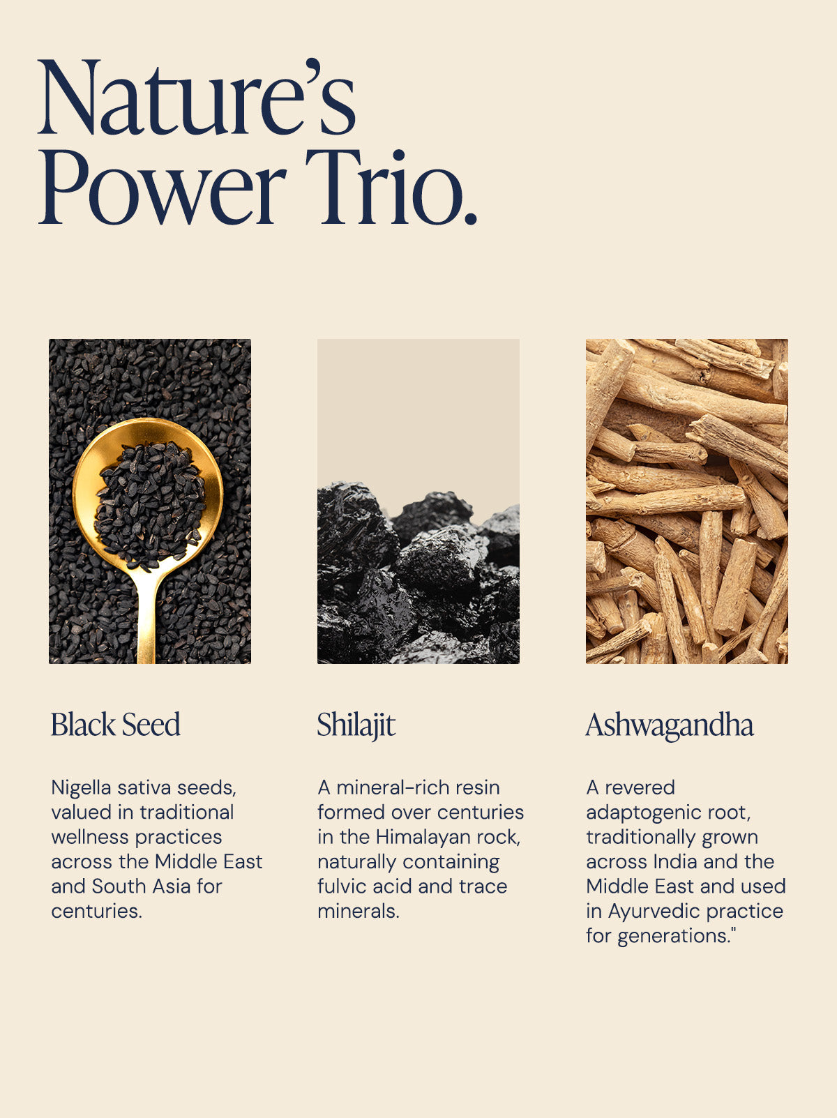 Black Seed, Shilajit & Ashwagandha Gummies