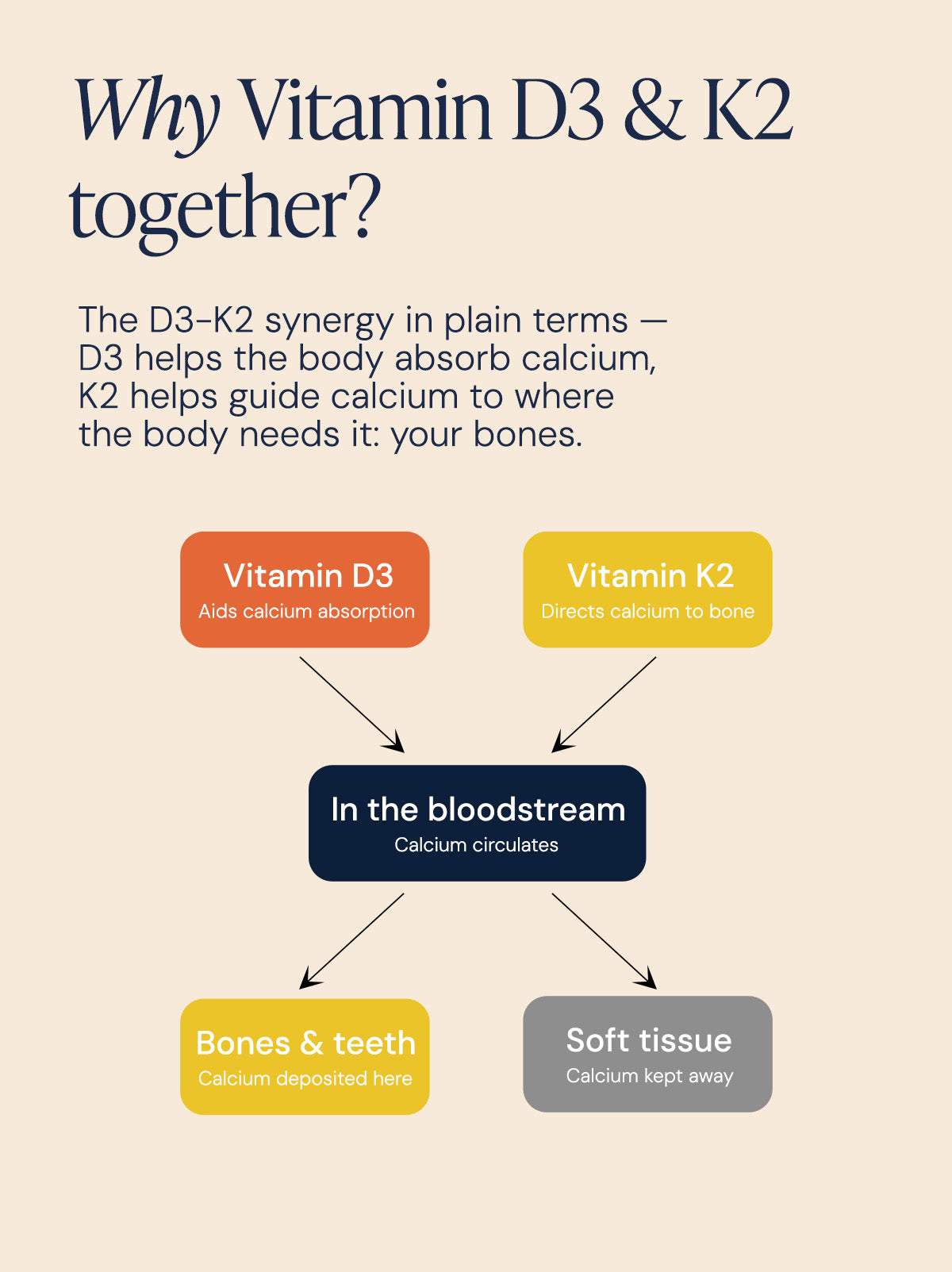 Vitamin D3 + K2 (MK7) Immune Support