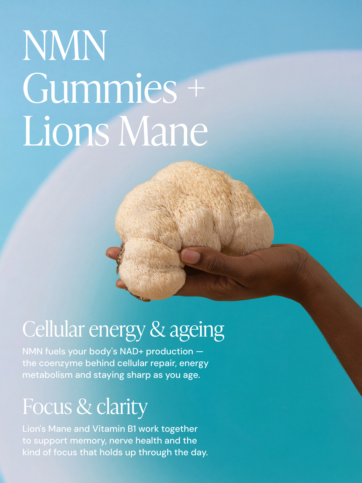 NMN Gummies with Lions Mane Extract